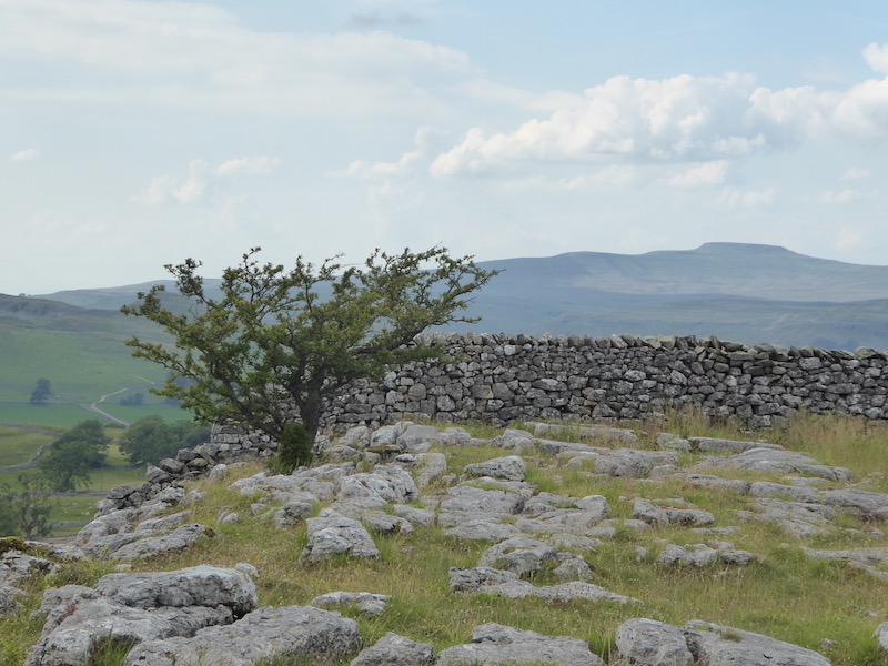 Winskill Stones from Langcliffe