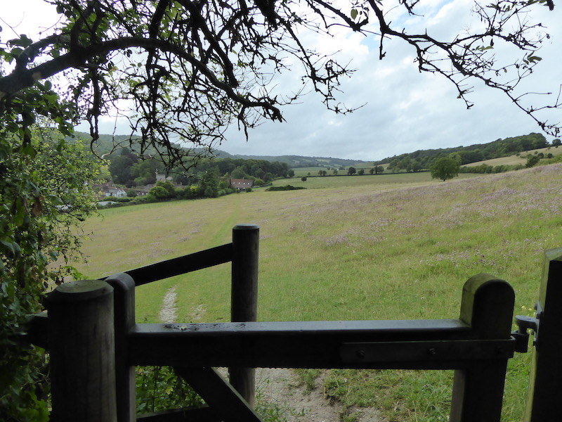 A Five Mile Stroll from Cholsey Grange CL