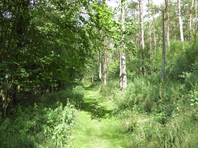 Six Miles Around Penley Wood and Commonhill Wood
