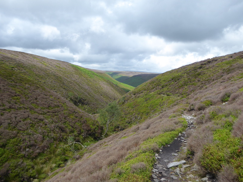 Around Totridge Fell, Bleadale Water and Langden Brook
