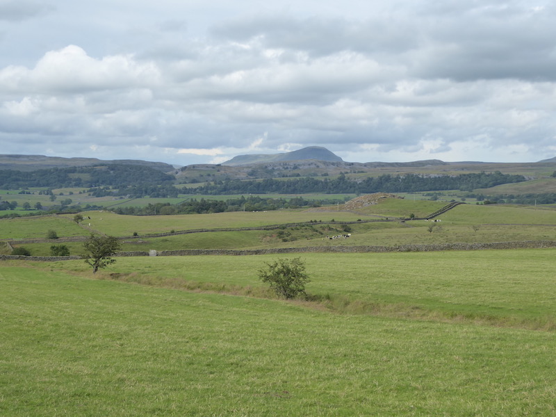 Giggleswick Common from Brigholme Farm CL