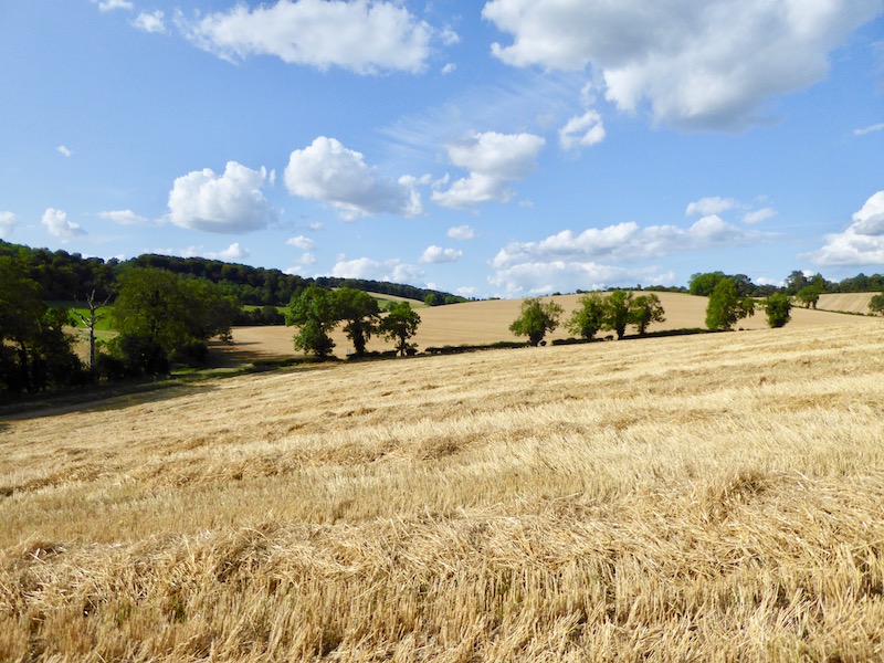 Ibstone to Christmas Common – A Nine Mile Circuit