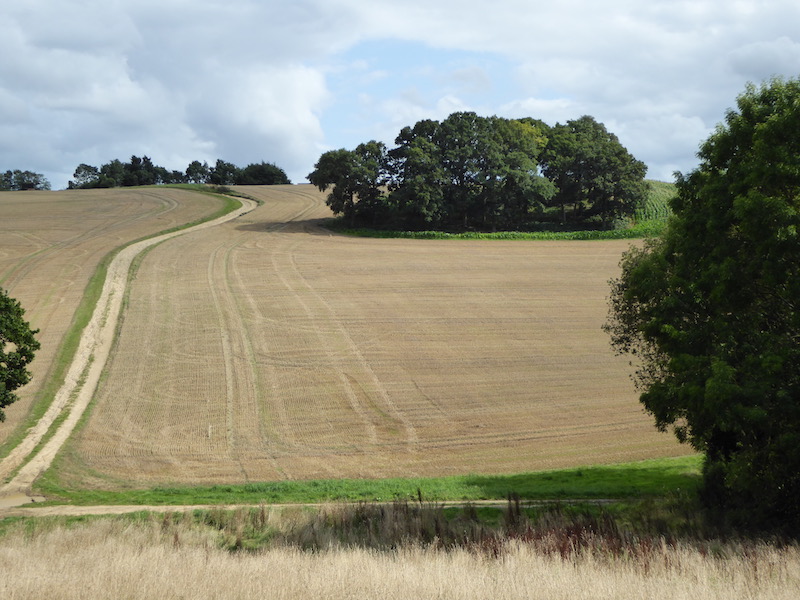 A Circuit to Leygrove Wood from Ibstone