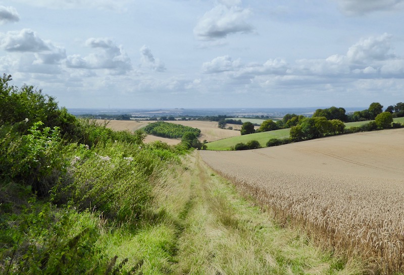 Bagging Trig Pillars on a Circuit from Ewelme