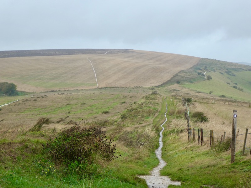 A Route Around Cissbury Ring, Botolphs and Steep Down