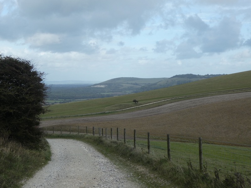 Bagging Trigs on the South Downs