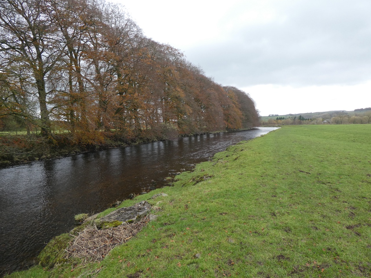 Along the Ribble Way to Attermire Scar