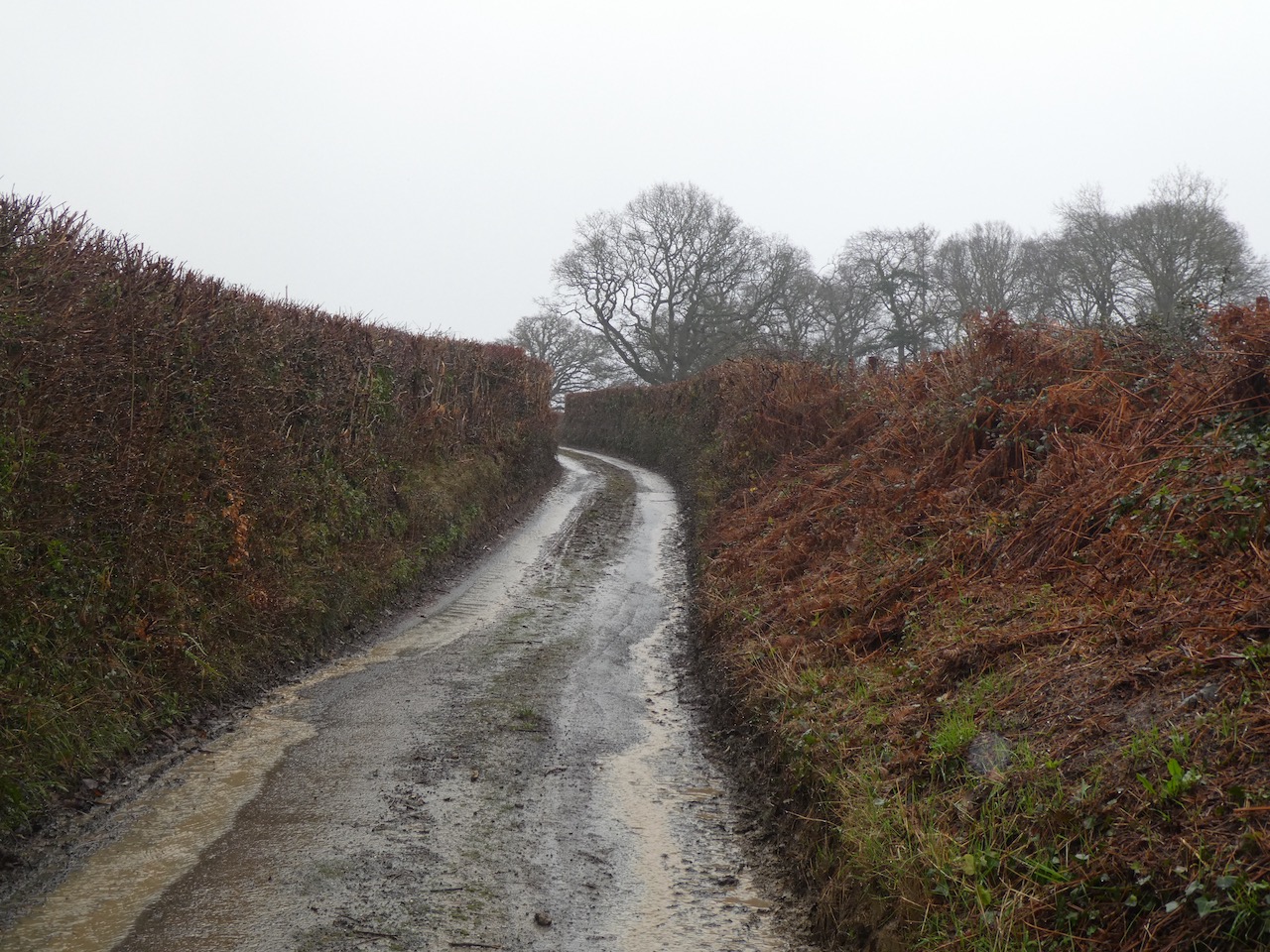 A Seven Mile Walk from Stoke St Mary