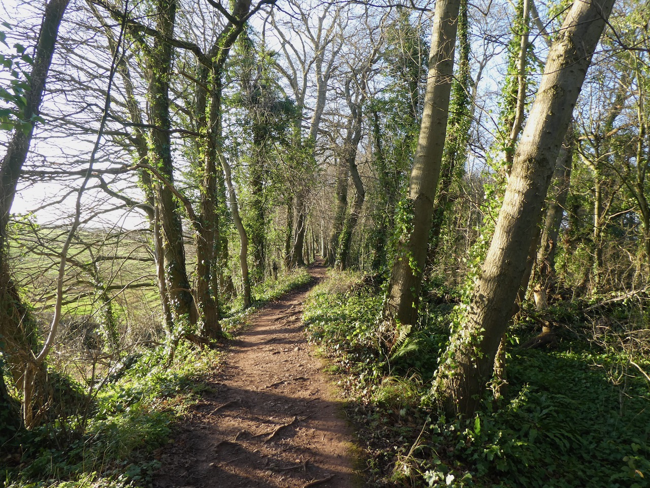 On a Section of the Grand Western Canal