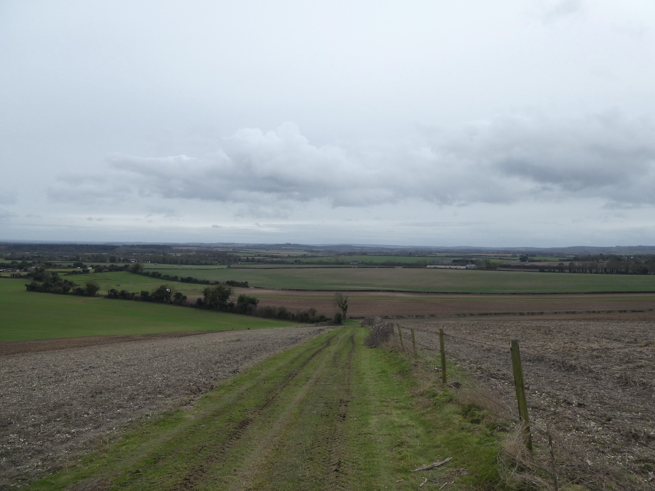 Quarley Hill from Middle Wallop