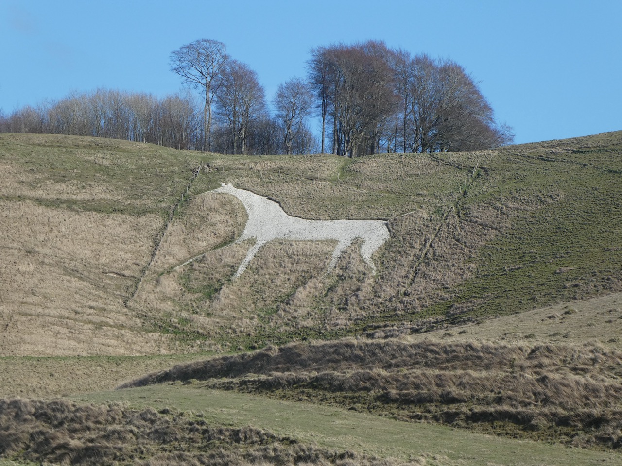 Bagging Cherhill and Devizes White Horses