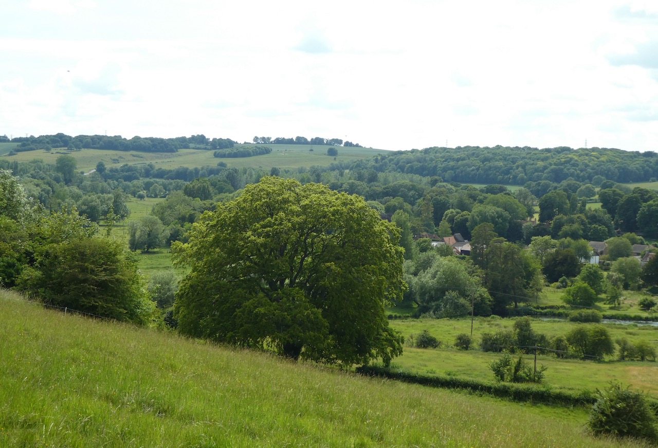 Walking The Sarum Way