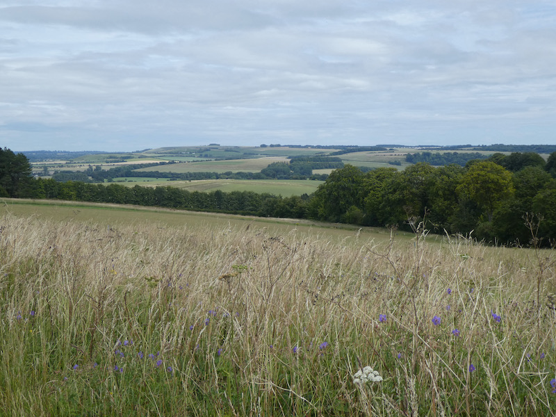On the Plain and in the Vale