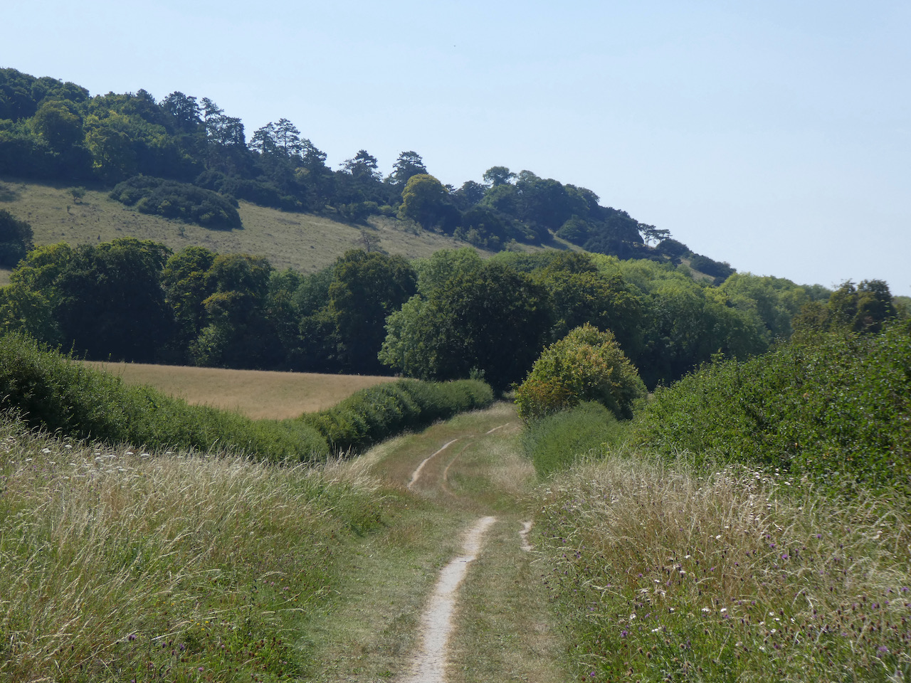 Aston Rowant Nature Reserve and Turville Heath