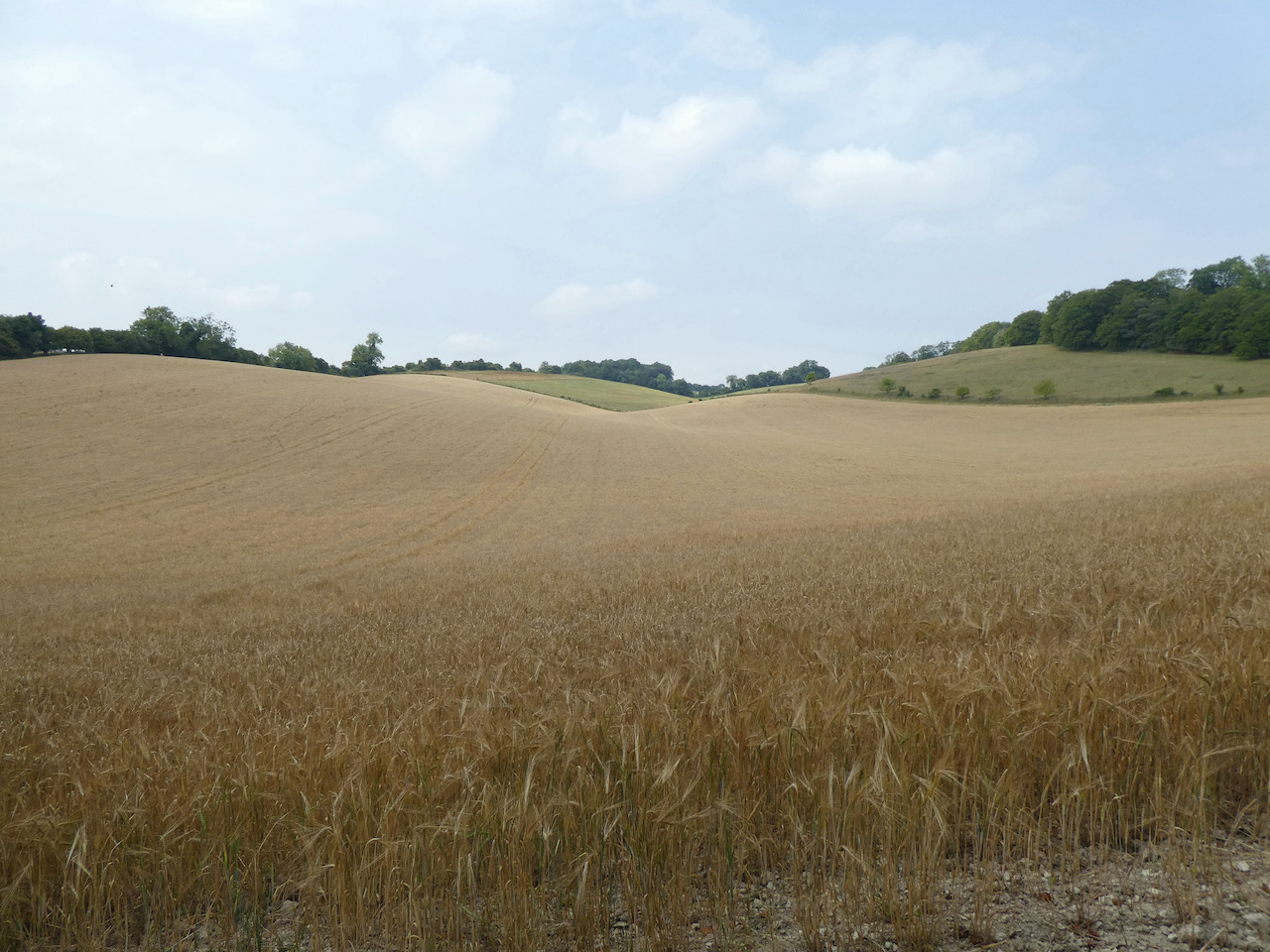 Pishill and Russell’s Water