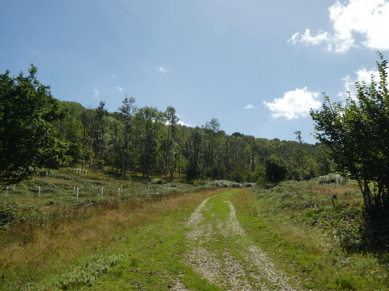Fawley and Stonor Park
