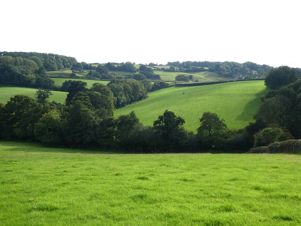 A Stroll to Chillington
