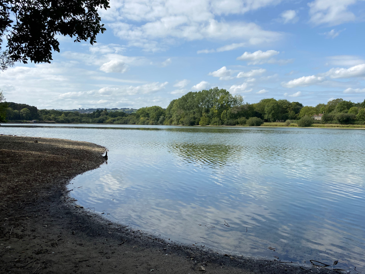 Chard Reservoir and Herne Hill