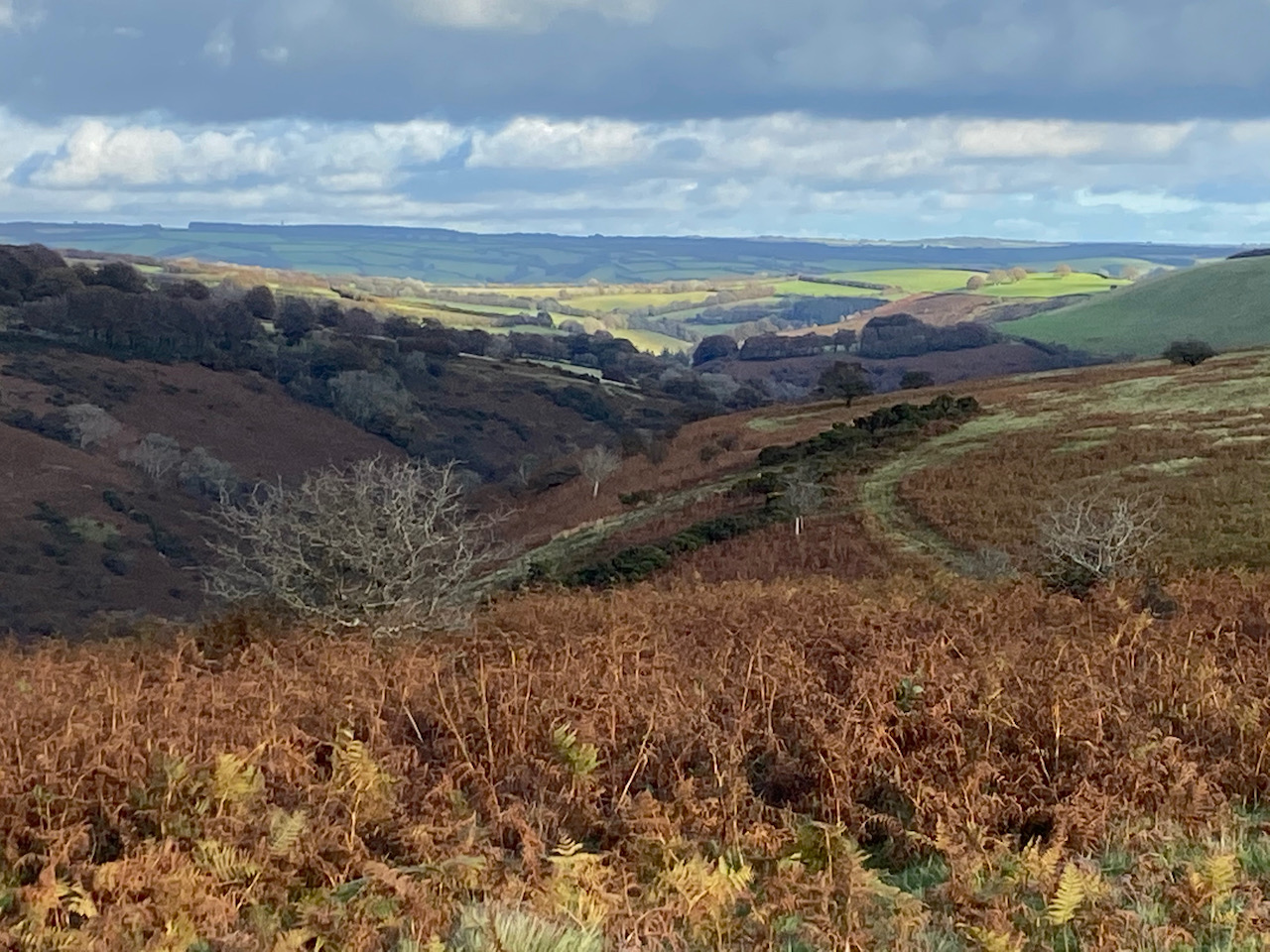 Room Hill from Exford