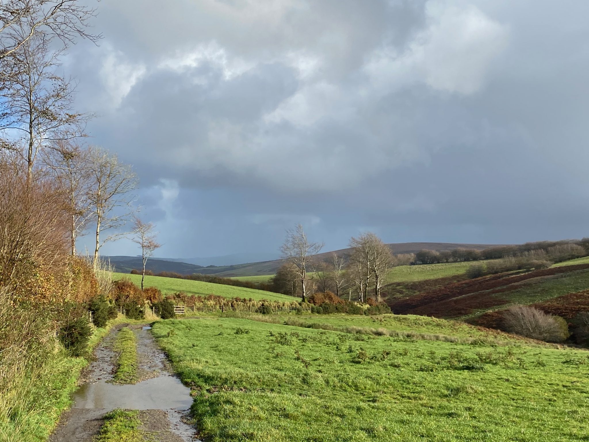 Landacre Bridge and Brightworthy Barrows