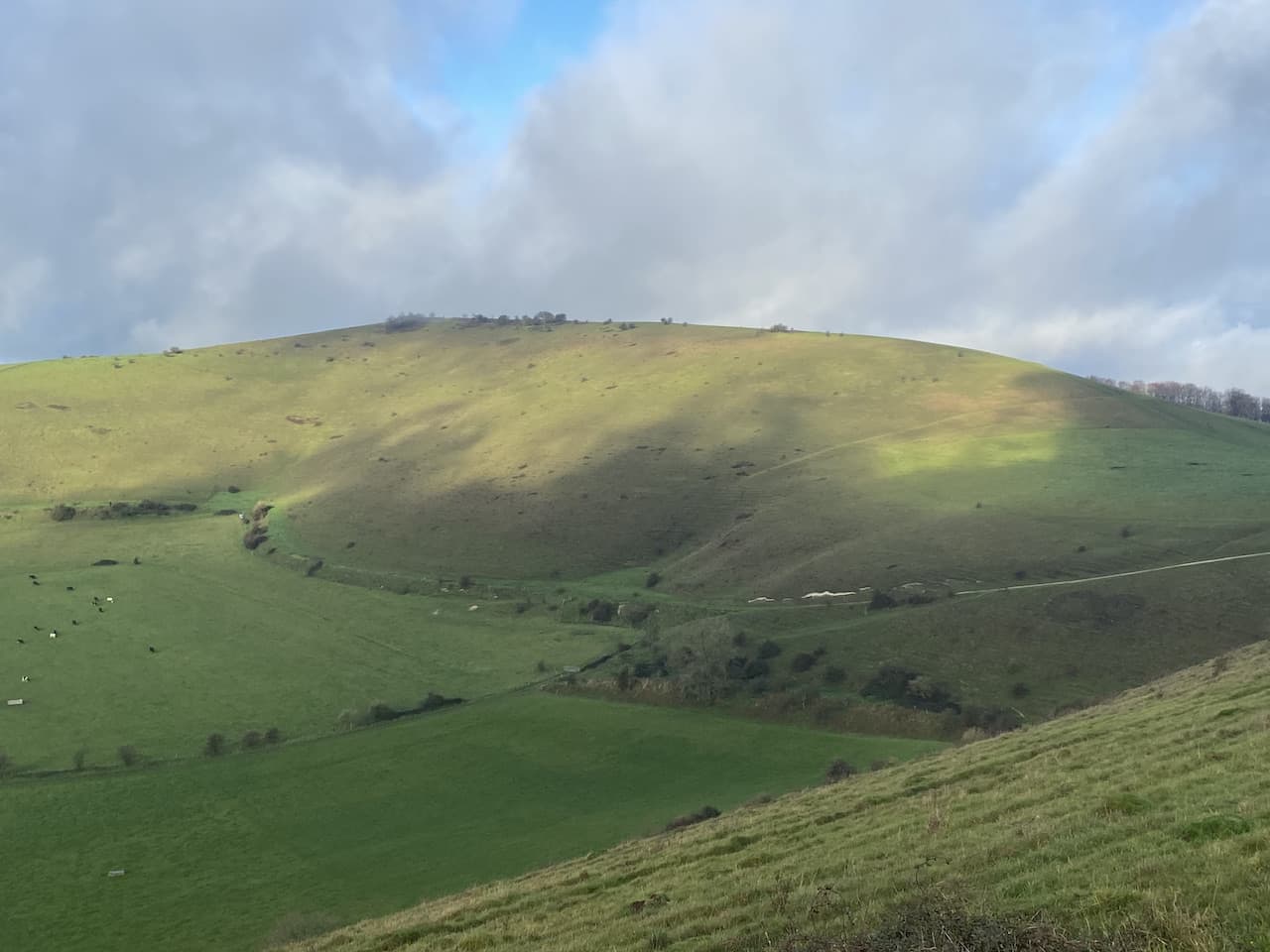 Melbury Beacon and Ashmore