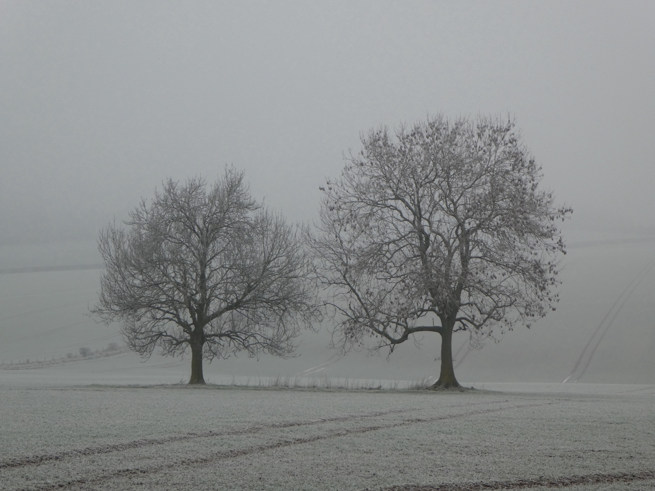 Frost and a Monolith