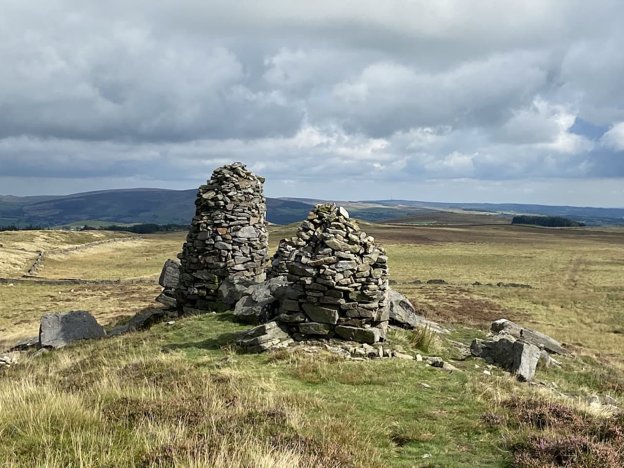 On Skipton Moor