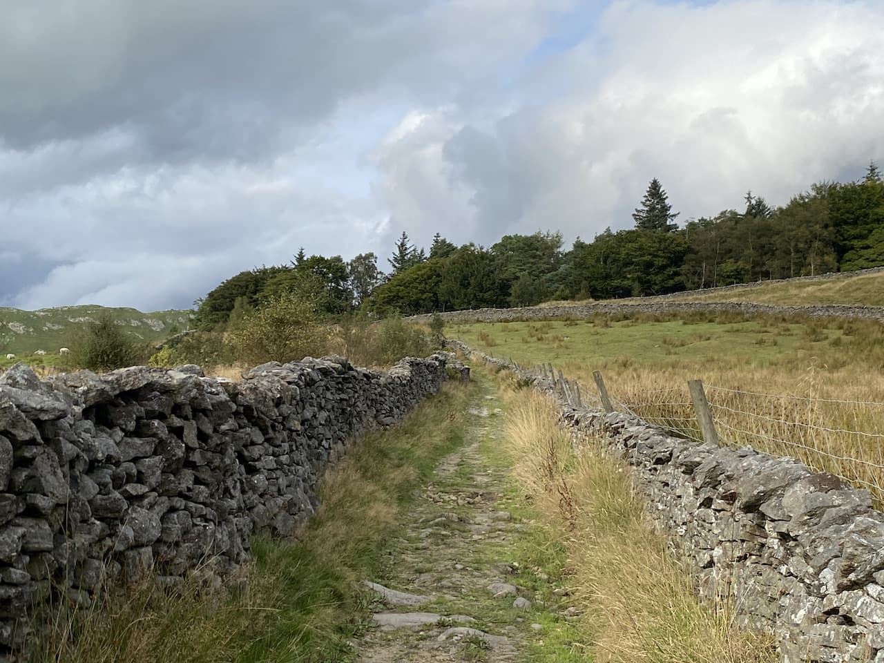 Back in Settle