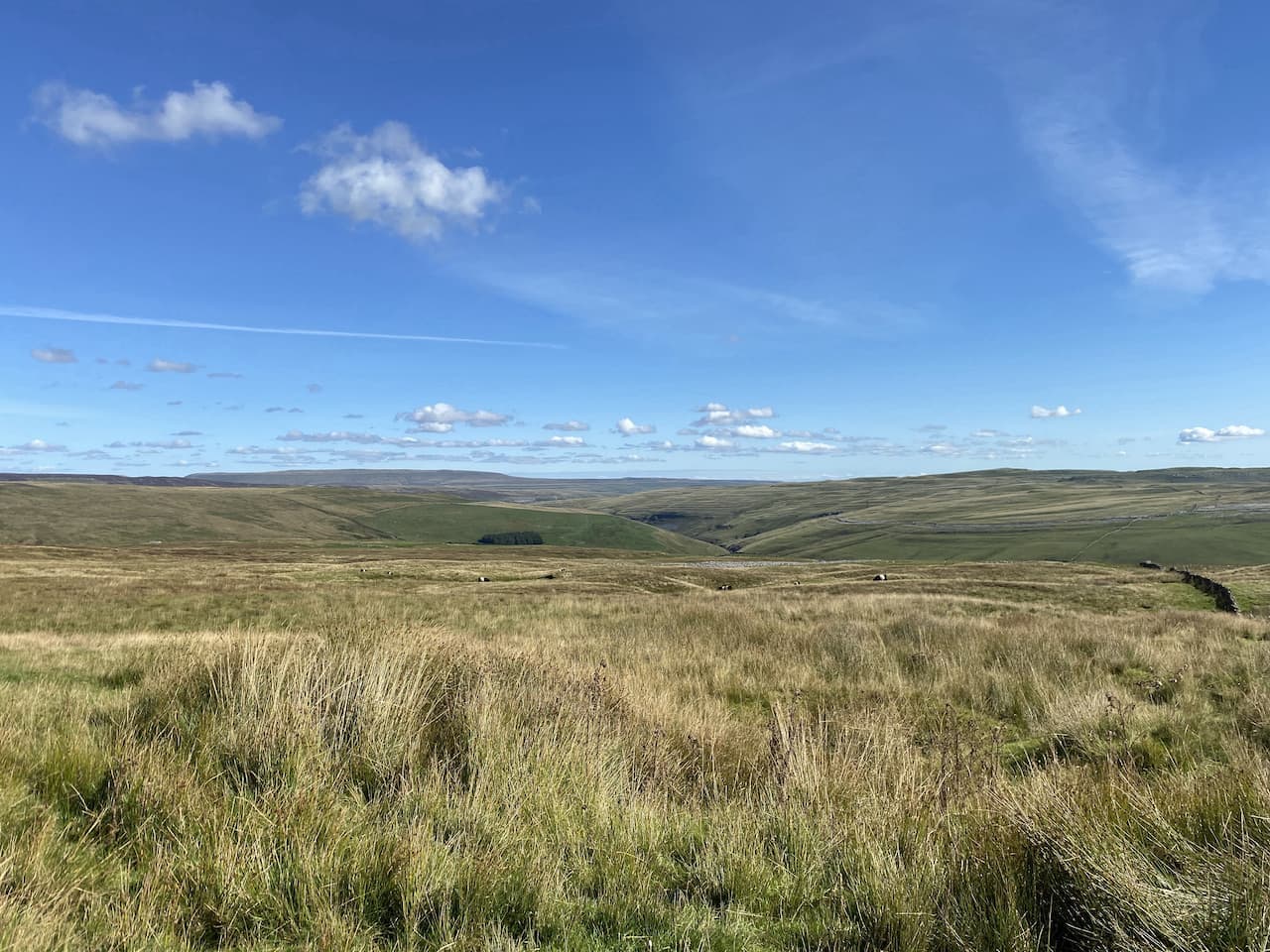 Fountains Fell and Darnbrook Fell