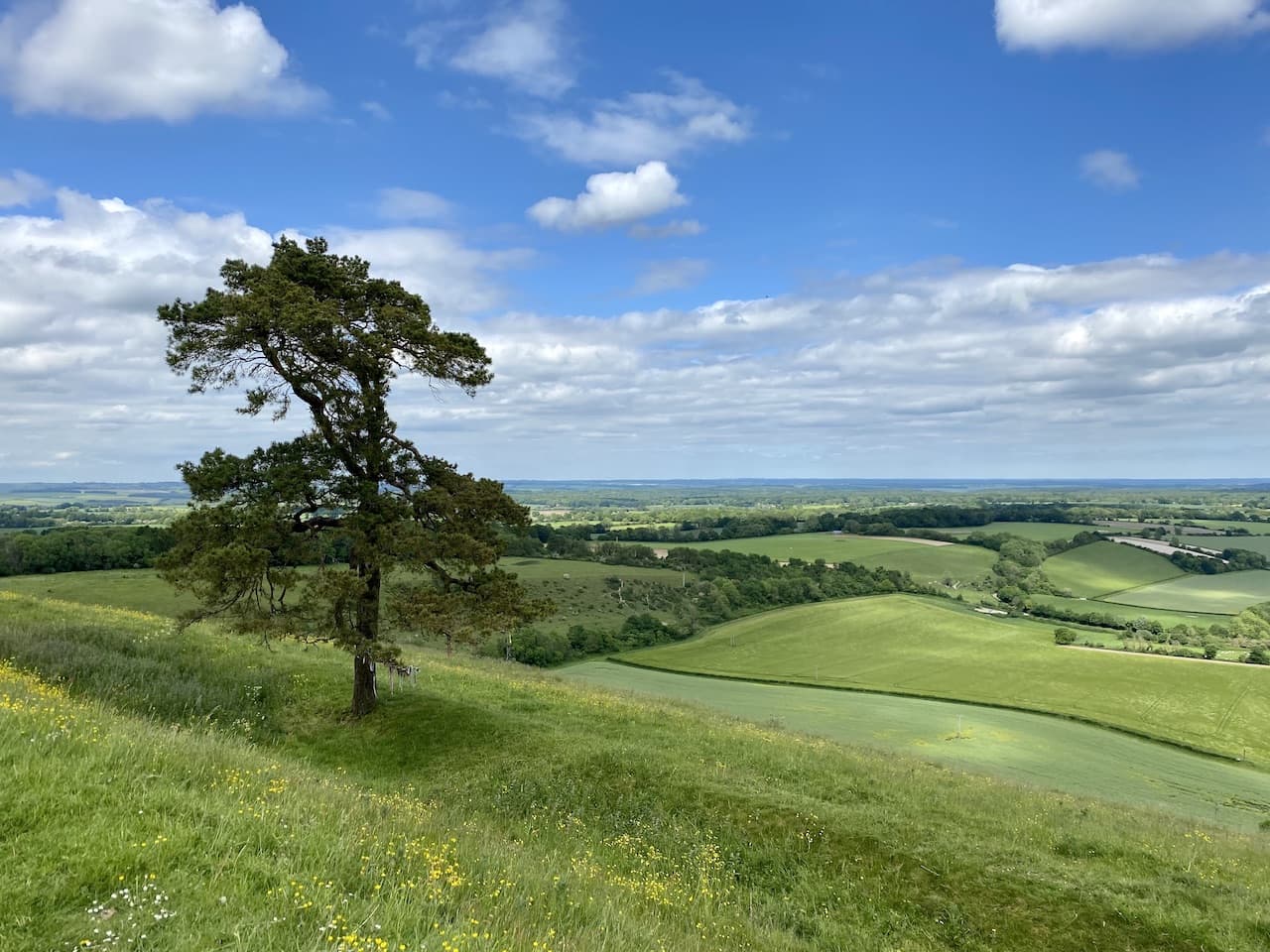 Wootton Rivers and Martinsell Hill