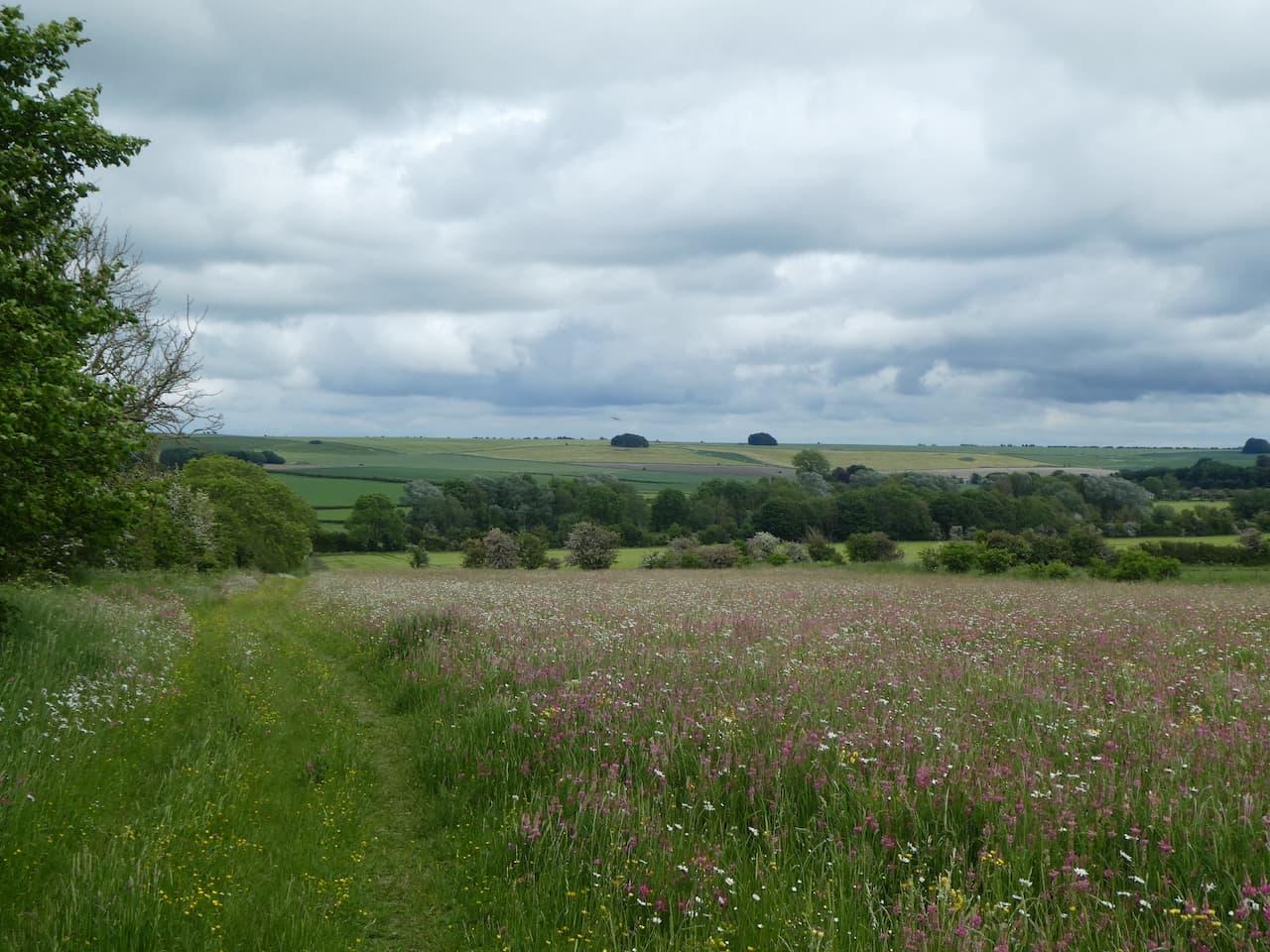 Windmill Hill and Avebury from Cherhill