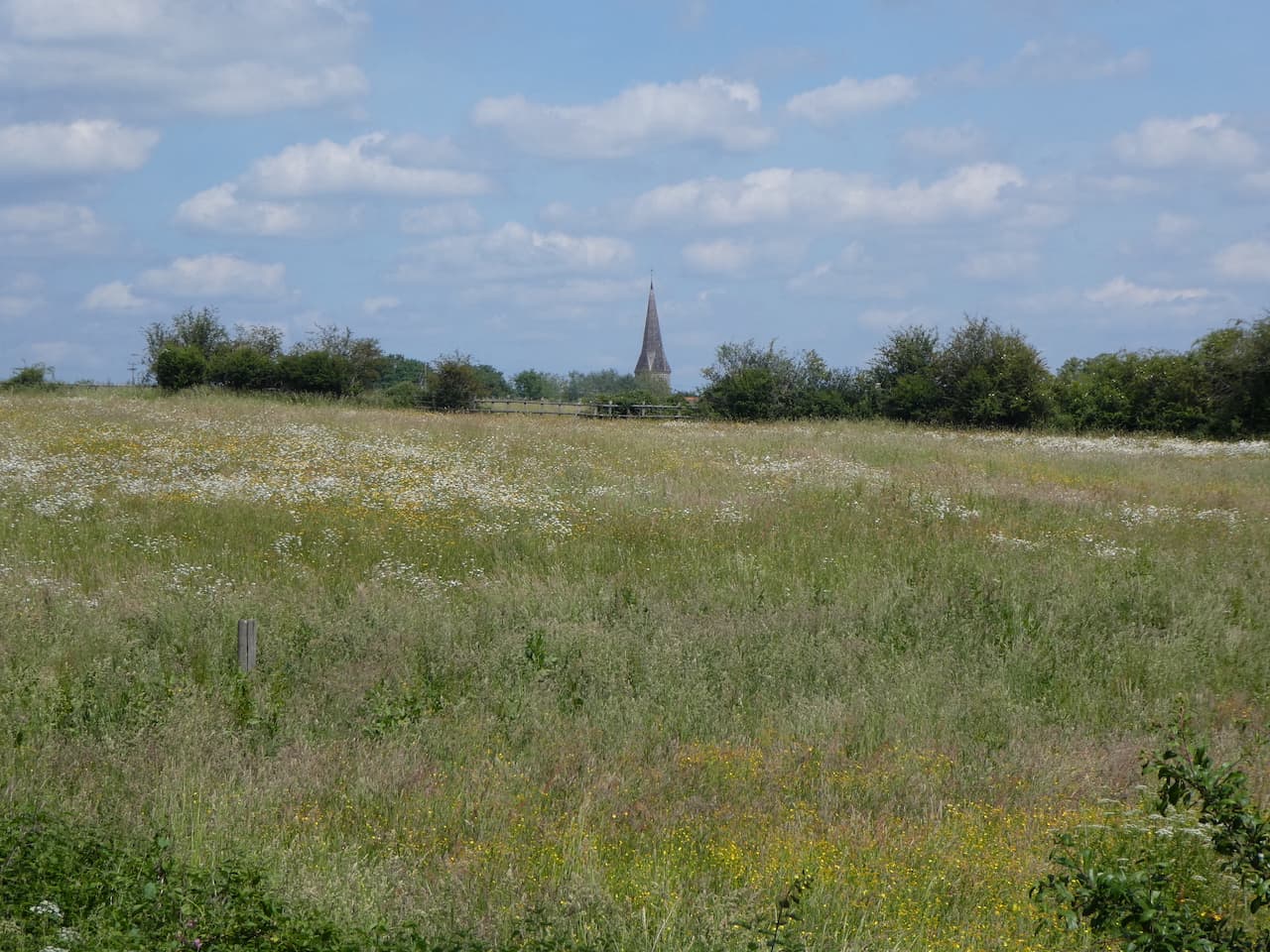 A Circuit From Ashford Hill to Brimpton