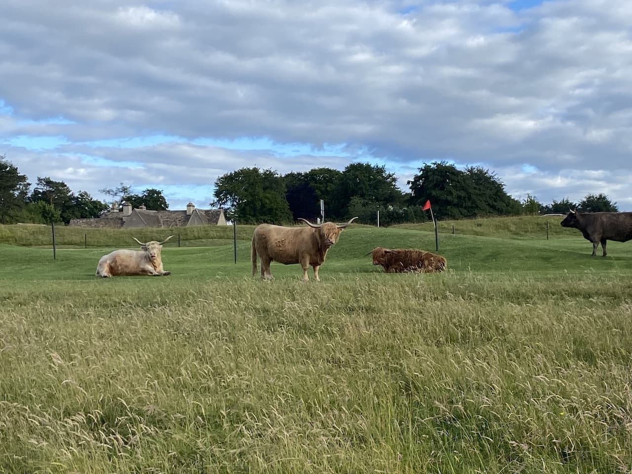 Minchinhampton Common and Rodborough Common