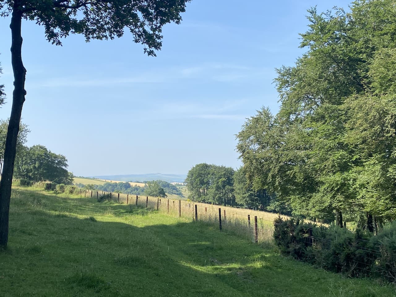 Melbury Beacon and Win Green