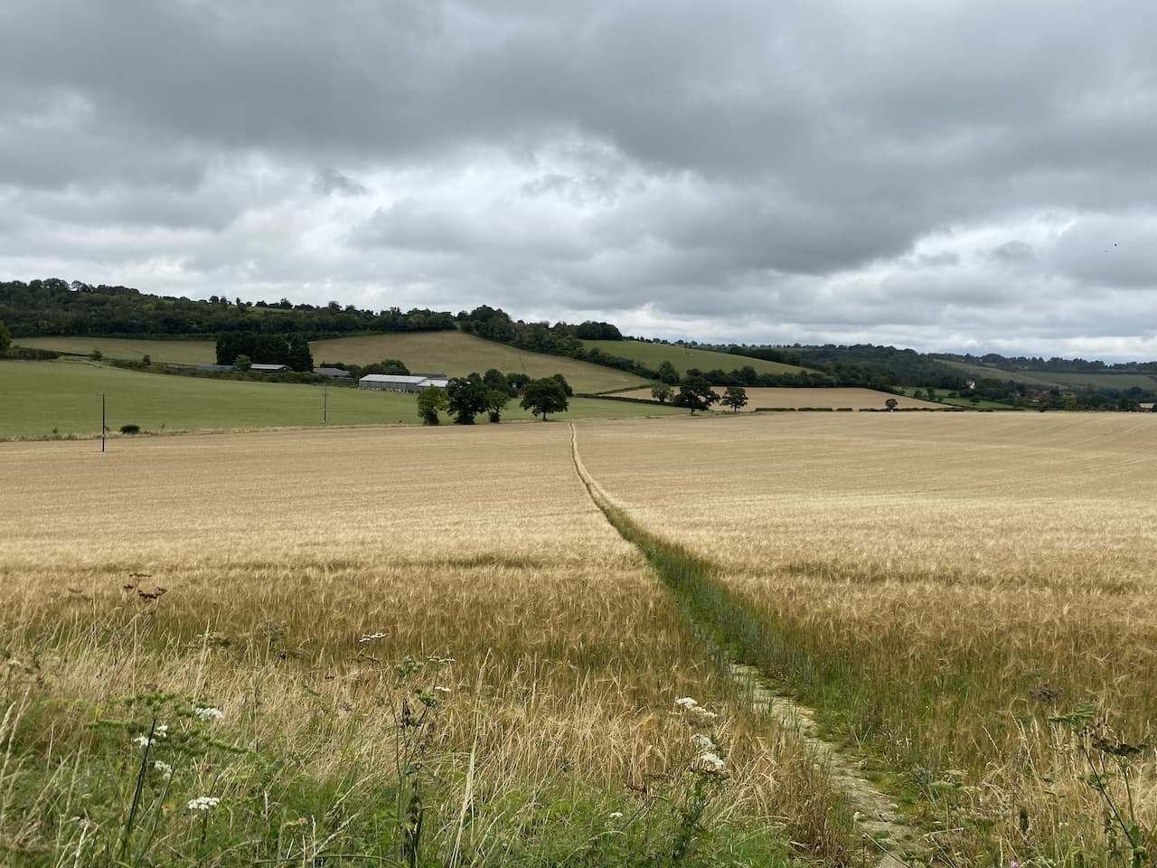 Returning to Bottom Wood