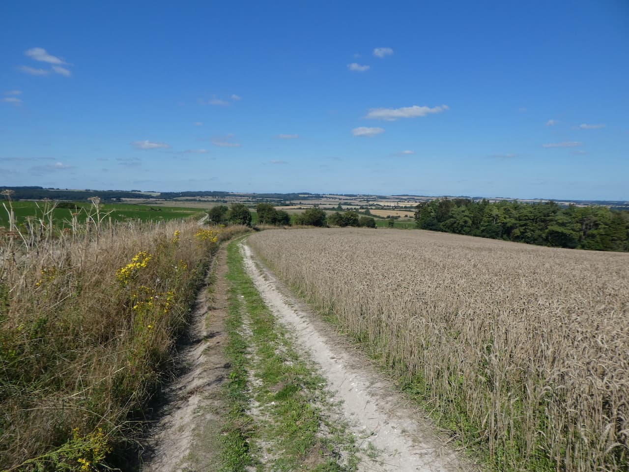A Forgotten Dorset Village
