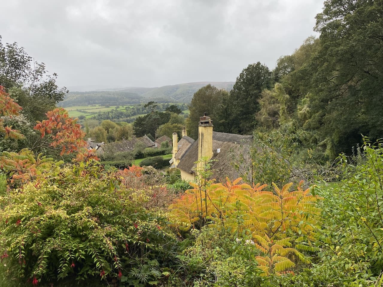 Tea For Two at Periwinkle Cottage