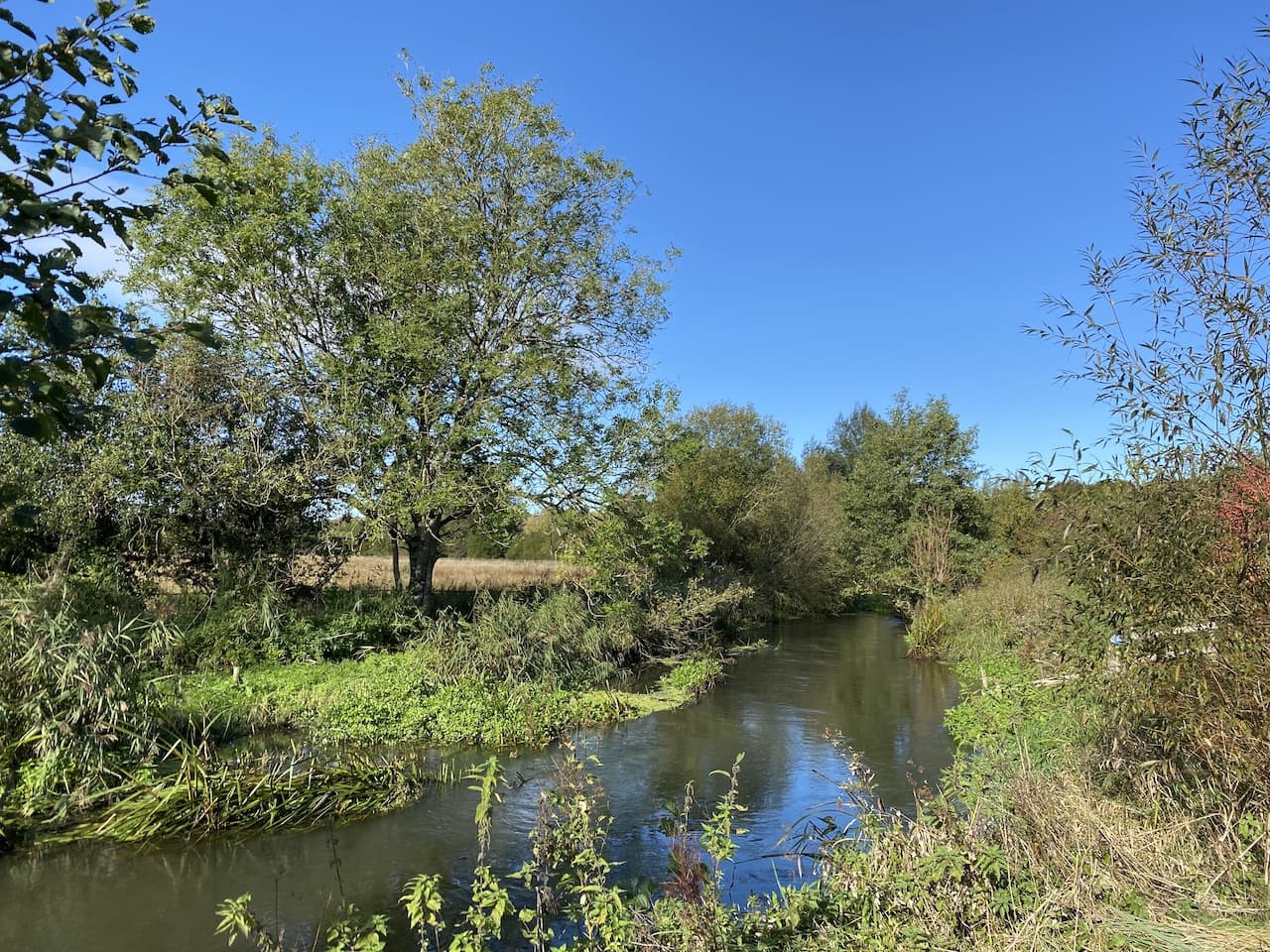 Wiltshire’s Thankful Village
