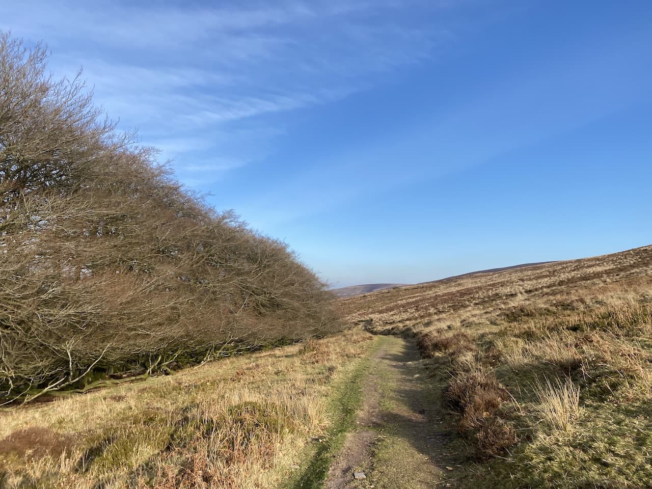 Barrows and Combes On Dunkery Hill