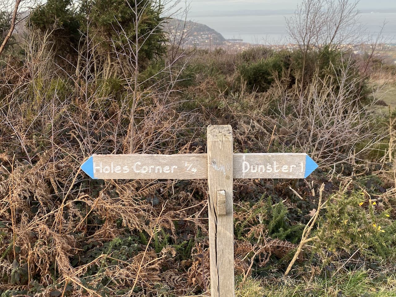 Hopcott Common and Alcombe Common