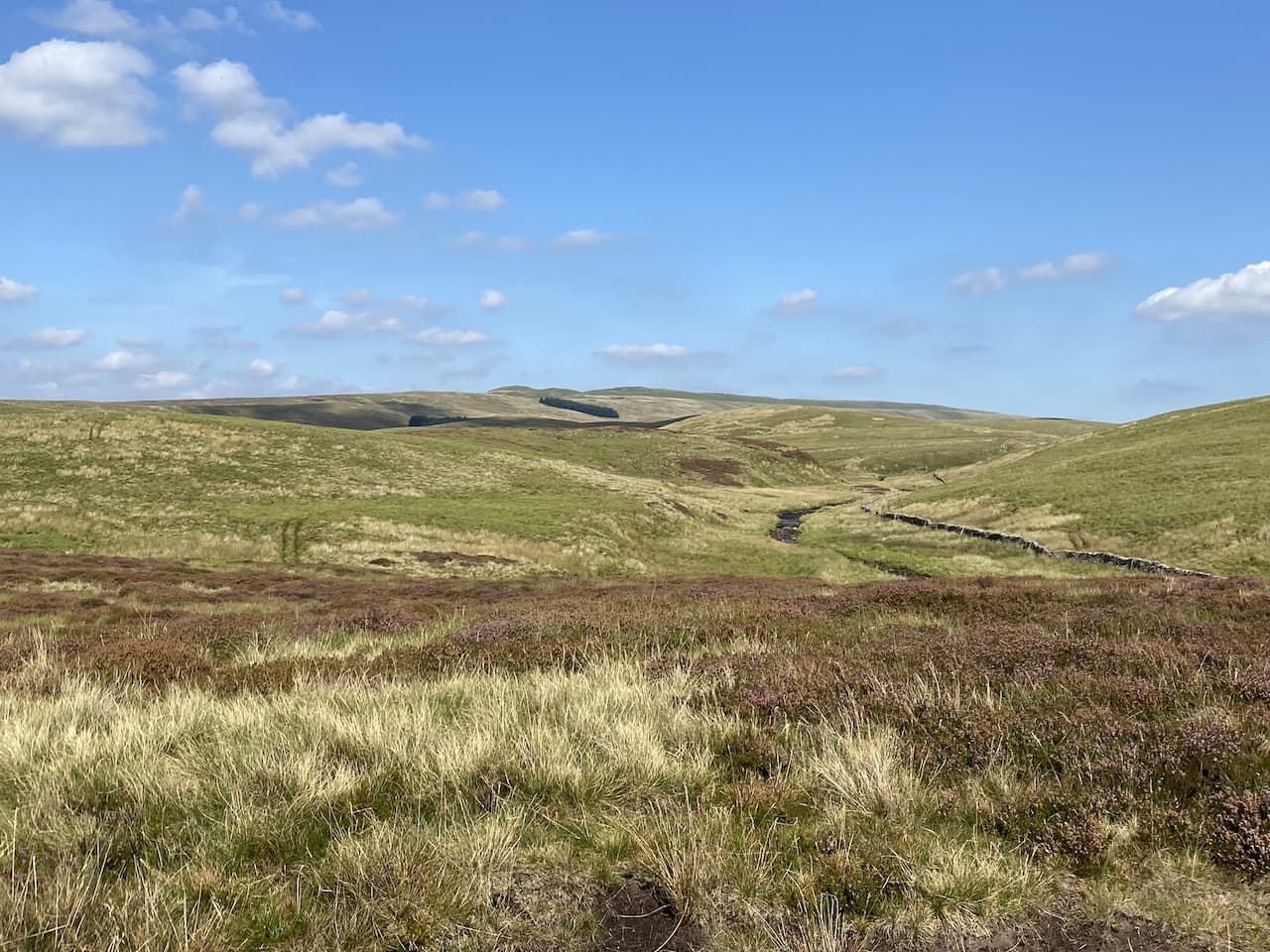On Horton Moor