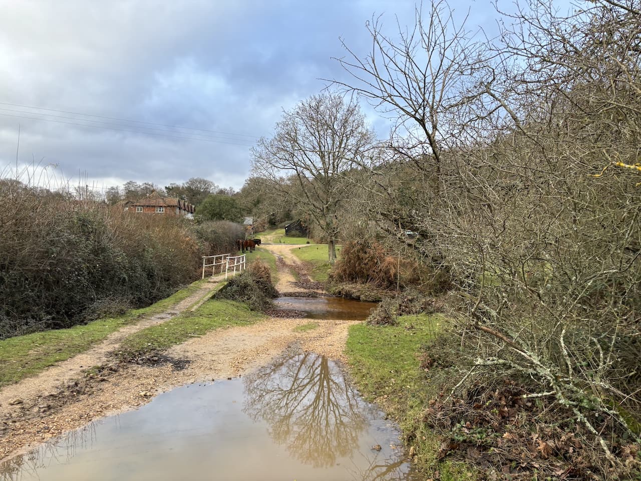 Following Tracks from Fritham
