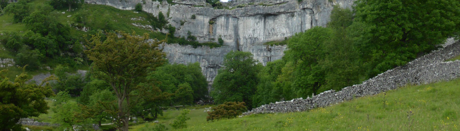 Peregrines at Malham Cove