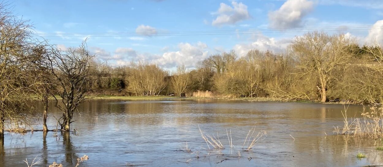 Bow Brook in Flood